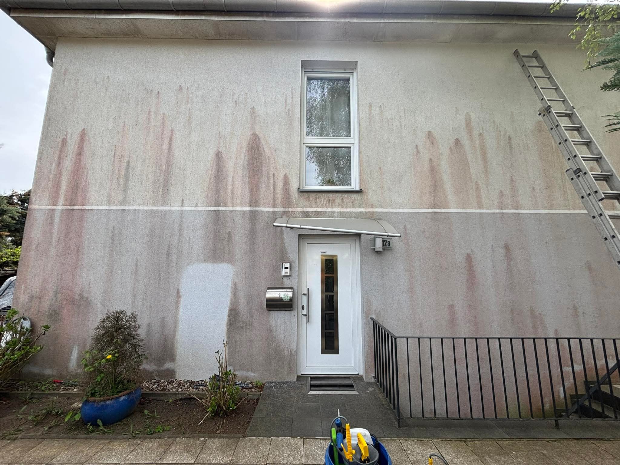 Façade avant nettoyage - Algues rouges